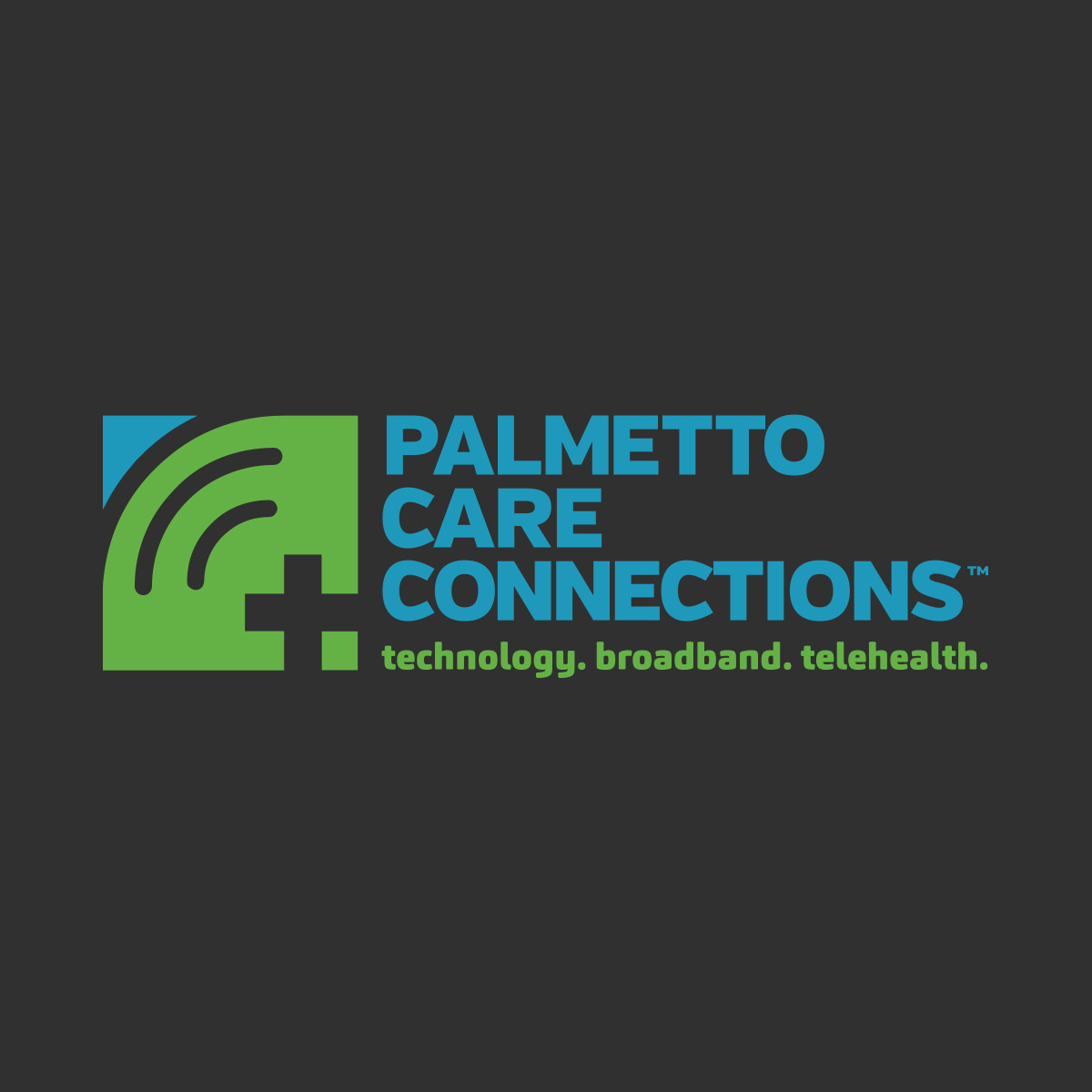 Palmetto Care Connections Logo by Catoe Group